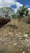 Finca en baru 23
