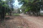 Se alquila lote de 1,100 m2 en esquina $250.00. Chiriqu