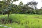 Se vende lote en San Carlos 2,000 m2 con quebrada. Chiriqui