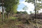 Mini finca en venta en Boquerón con agua todo el año. Chiriquí