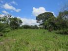 Venta de Finca con acceso a carretera asfalta y bordeada con un ro. Chiriqui