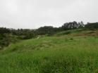 Lote a la venta en Lucero Homes & Golf Club. Boquete