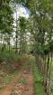 Finca Ganadera de 64 Ha con casa de campo amoblada en venta, Breñon, Renacimiento, Chiriquí 