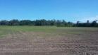 venta de finca en baco 2