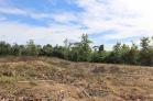 Mini finca en venta en Boquerón con agua todo el año. Chiriquí