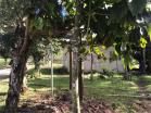 Finca San Vicente14