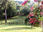 Finca Ganadera de 64 Ha con casa de campo amoblada en venta, Breñon, Renacimiento, Chiriquí 