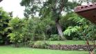 La casa perfecta con los detalles más lujosos - Panamonte Estates, ubicada en Bajo Boquete - Descubre las amenidades únicas. Boquete, Chiriquí, Panamá