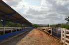 venta de finca en chorrera 15