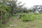 Se vende finca con agua a 1.3 km de Interamericana con asfalto. San Felix, Chiriqu