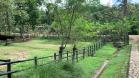 Finca Ganadera de 64 Ha con casa de campo amoblada en venta, Breñon, Renacimiento, Chiriquí 