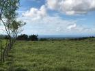 Finca San Vicente10