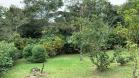 Venta de finca en Aguacate 15