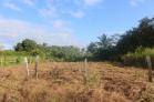Lote de 1,000 m2 en venta en Playa Las Lajas a 300 metros del mar. Chiriqu