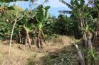 Lote de 820 m2 en venta en San Pablo, Chiriqu