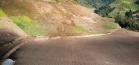 Finca Cerro Punta9