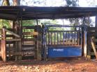 Finca autosuficiente en Venta en Chiriqu. Finca que todos desean tener!