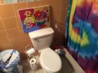 Alquiler o Venta de casa Amoblada en Villa Mercedes. David, Chiriqu.