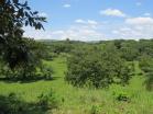 Venta de Finca con acceso a carretera asfalta y bordeada con un ro. Chiriqui