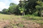 Se vende finca de 1 Hectrea ideal para lotificar. Chiriqu