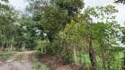 Venta de finca en Aguacate 30