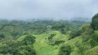 Venta de 60 HA con vistas impresionantes y suelos fértiles - Caisán, Renacimiento, Chiriquí, Panamá