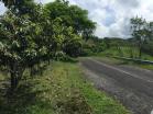 Venta e Finca en Volcan. Ideal para hacer su casa al gusto. Chiriqu, Panam