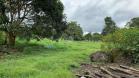 Venta de finca en Aguacate 20