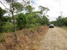 Finca de 1 hectrea en Rovira a la venta. Chiriqu