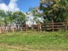 Finca San Vicente17