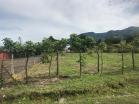 Venta de lote en Volcn, cerca de escuelas y MINSA. Chiriqu