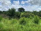 Finca en las lomas 4