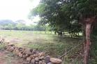 Se vende lote de 6,500 m2 en el Flor de Dolega. Chiriqu