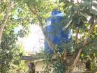 Finca San Vicente13