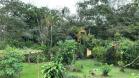 Venta de finca en Aguacate 4