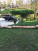 Finca Ganadera de 64 Ha con casa de campo amoblada en venta, Breñon, Renacimiento, Chiriquí 