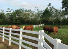 venta de finca en chorrera 12