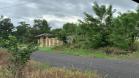 Venta de finca en Sioguí 3