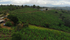 Venta de finca en caas gordas 15