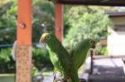 Venta de casa en Potrerillos Arriba. Chiriqu