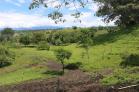 venta de 249 hectareas en volcan 13