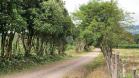 Finca en Palmira 8
