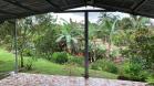 Venta de finca en Aguacate 14