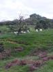 Venta de finca en remedios 10