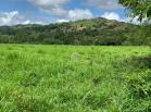 Venta de Finca en Bugaba 13