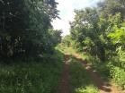 Terreno en venta en David, Chiriqu. A 2 MINUTOS DEL CENTRO DE DAVID.