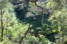 Venta de lote en Boquete. Excelente lote para vivir bien en Boquete.