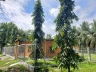 venta de casa en la esperanza 19