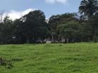 Venta de finca en caisan 10