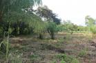 Se vende finca en Volcn a 25 minutos del Pueblo! Chiriqu